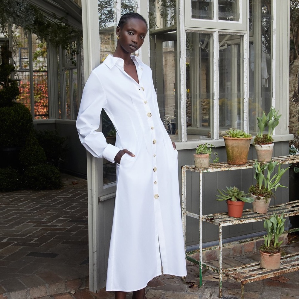 Anna quan Arlo dress